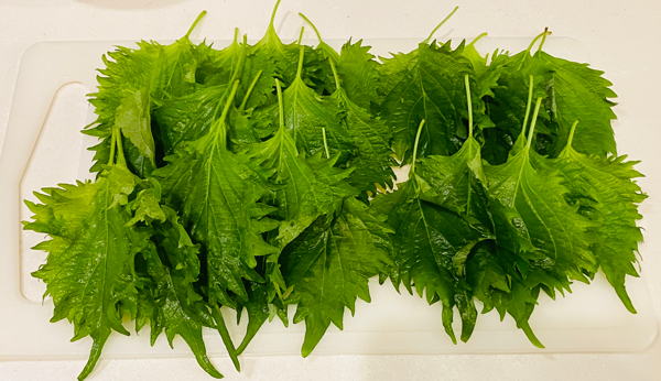 大葉ジェノベーゼソースのナスカルパッチョ